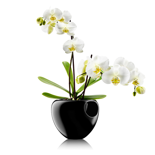 Горшок для растений 'Orchid Pot'