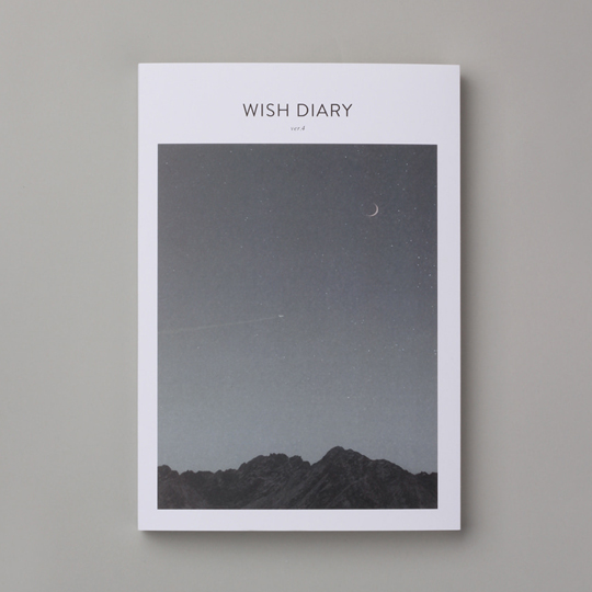 Планинг датированный 2019 'Wish diary'  / Starlit night