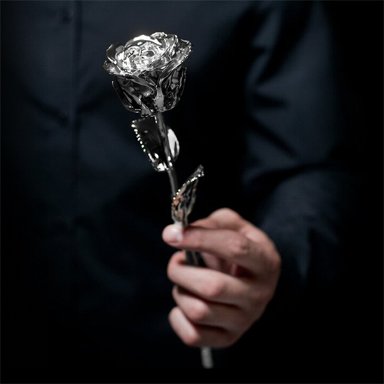 Роза стабилизированная 'Luxury'  / Серебро