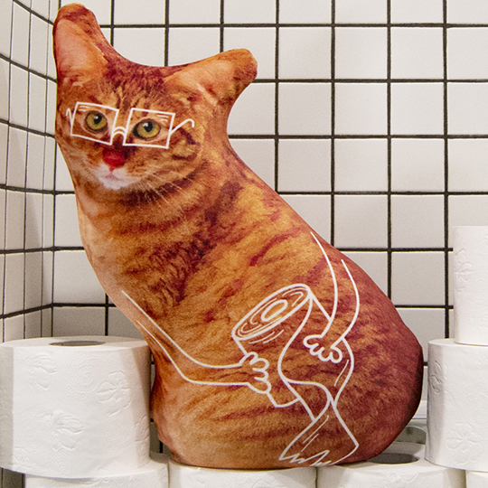 Подушка-антистресс 'Запасливый кот'