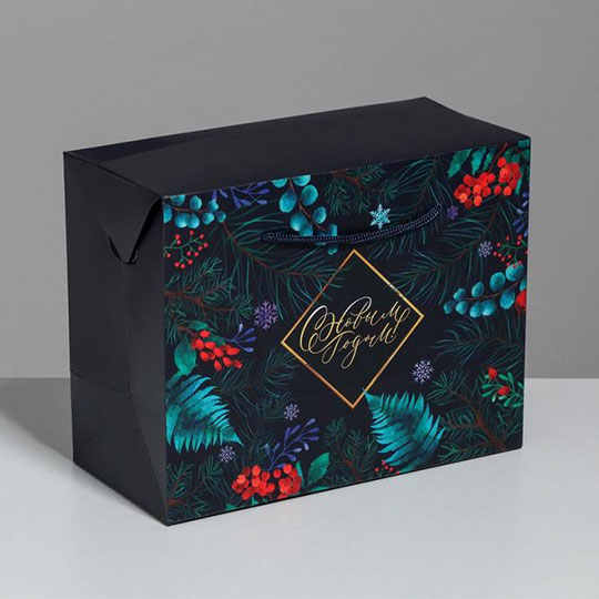 Пакет-коробка 'Зимняя ботаника'